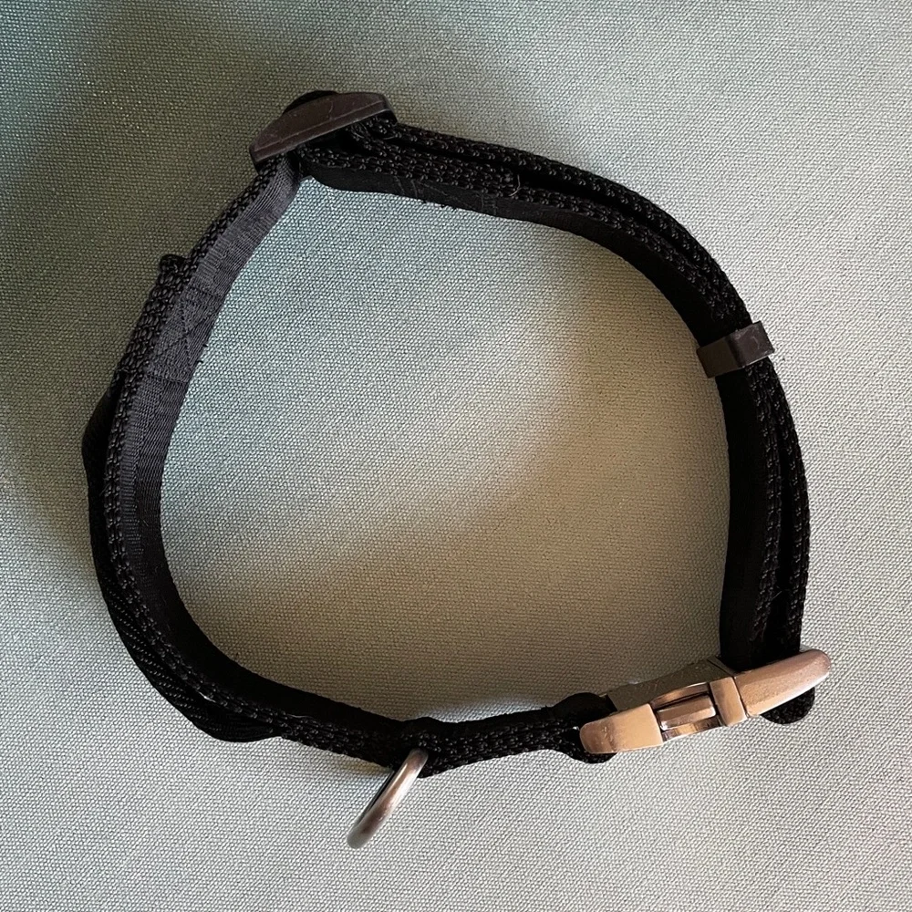 Alu-Max Nylon D-Ring Dog Collar 1.5” with Handle XL + Leash